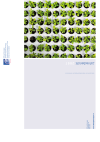 Stiftung Klimarappen. Jahresbericht 2007