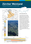 Zürcher Weinland - Geologisches Standortgebiet für hochaktive Abfälle