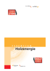 Vademecum Holzenergie