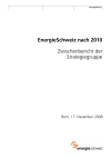 EnergieSchweiz nach 2010 - Zwischenbericht der Strategiegruppe