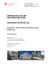 Energieanalyse mit der Pinch-Methode, Hochdorf Nutritec AG, Energie- und Produktionskostensenkung