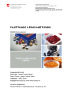 Pilotphase II Pinch-Methodik (Hero Groupe)
