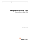 EnergieSchweiz nach 2010, Konsultationsbericht