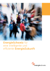 EnergieSchweiz für eine intelligente und effiziente EnergieZukunft