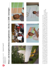 Bilanz- und Strategiekonferenz EnergieSchweiz / 30.6 bis 1.7.2009 / Unterägeri