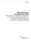 Wirkungsanalyse EnergieSchweiz 2008. Wirkungen der freiwilligen Massnahmen und der Förderaktivitäten von EnergieSchweiz auf Energie, Emissionen und Beschäftigung