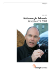 Holzenergie Schweiz. Jahresbericht 2008