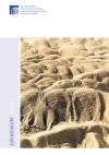 Stiftung Klimarappen. Jahresbericht 2008