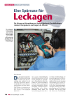 Eine Spürnase für Leckagen
