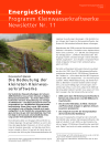 Programm Kleinwasserkraftwerke - Newsletter Nr. 11
