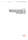 Begleitende Evaluation der Wirkungsanalyse 2002 von EnergieSchweiz