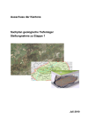 Ausschuss der Kantone: Sachplan geologische Tiefenlager, Stellungnahme zu Etappe 1