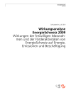 Wirkungsanalyse EnergieSchweiz 2009. Wirkungen der freiwilligen Massnahmen und der Förderaktivitäten von EnergieSchweiz auf Energie, Emissionen und Beschäftigung