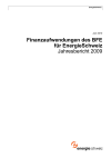 Finanzaufwendungen des BFE für EnergieSchweiz. Jahresbericht 2009