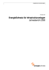 EnergieSchweiz für Infrastrukturanlagen. Jahresbericht 2009