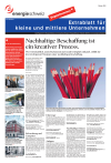 Extrablatt für kleine und mittlere Unternehmen - 3. Ausgabe 2010