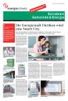 Extrablatt Gemeinde & Energie - 3. Ausgabe 2010
