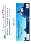 CARMA – Carbon management in power generation (2009-2012)
