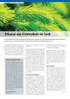 Energiewissen: Ethanol aus Fichtenholz im Tank