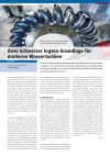 Energiewissen: Zwei Schweizer legten Grundlage für moderne Wasserturbine