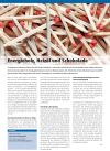 Energiewissen: Energieholz, Heizöl und Schokolade