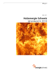 Holzenergie Schweiz. Jahresbericht 2010