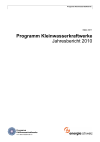 Programm Kleinwasserkraftwerke. Jahresbericht 2010