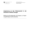 Anpassung an den Klimawandel in der Schweiz im Sektor Energie