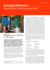 Programm Kleinwasserkraftwerke - Newsletter Nr. 17