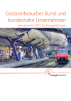 Grossverbraucher Bund und bundesnahe Unternehmen: Jahresbericht 2011 für EnergieSchweiz