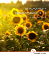 EnergieSchweiz Jahreskonferenz 2013: Programm