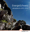 12. Jahresbericht EnergieSchweiz 2012 / 2013