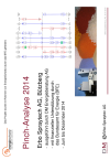 Pinch-Analyse 2014 - Erbo Spraytech AG, Bützberg