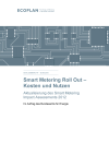 Smart Metering Roll Out – Kosten und Nutzen