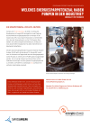 Welches Energiesparpotenzial haben Pumpen in der Industrie? Merkblatt für Techniker - Programm Effiziente Pumpen-Anlagen ProEPA
