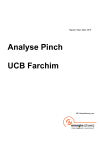 Analyse Pinch: UCB Farchim
