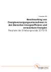 Benchmarking von Energieversorgungsunternehmen in den Bereichen Energieeffizienz und erneuerbare Energien