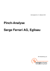 Pinch-Analyse: Serge Ferrari AG, Eglisau