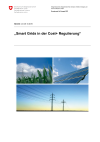 Smart Grids in der Cost+ Regulierung
