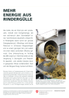 Mehr Energie aus Rindergülle