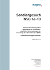 Sondiergesuch NSG 16-13