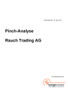 Pinch-Analyse – Rauch Trading AG
