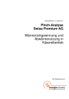 Pinch Analyse Swiss Premium Schlussbericht