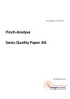 Pinch-Analyse Swiss Quality Paper AG