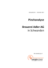 Pinchanalyse Brauerei Adler AG in Schwanden