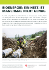 Bioenergie: Ein Netz ist manchmal nicht genug