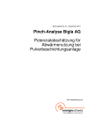 Pinch-Analyse Bigla AG