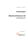 Pinch-Analyse Wäscherei Ritzmann AG