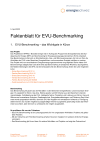 Faktenblatt für EVU-Benchmarking
