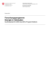 Forschungsprogramm Gebäude - Synthesebericht 2009 des BFE-Programmleiters